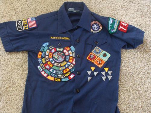 Cub Scouts Wolf Patch